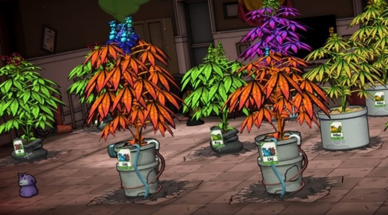 Weedcraft Inc